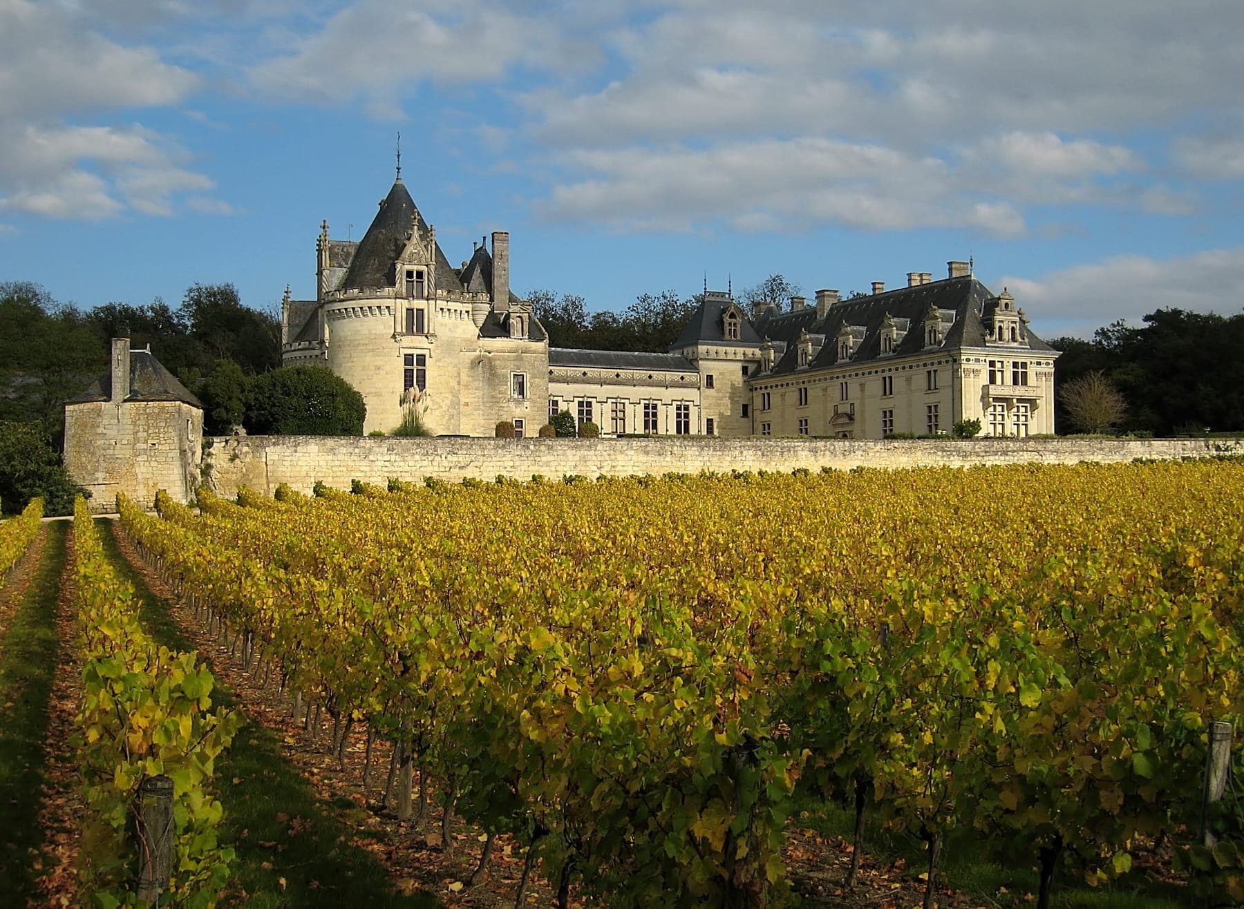 Château de Brézé, Brézé, France