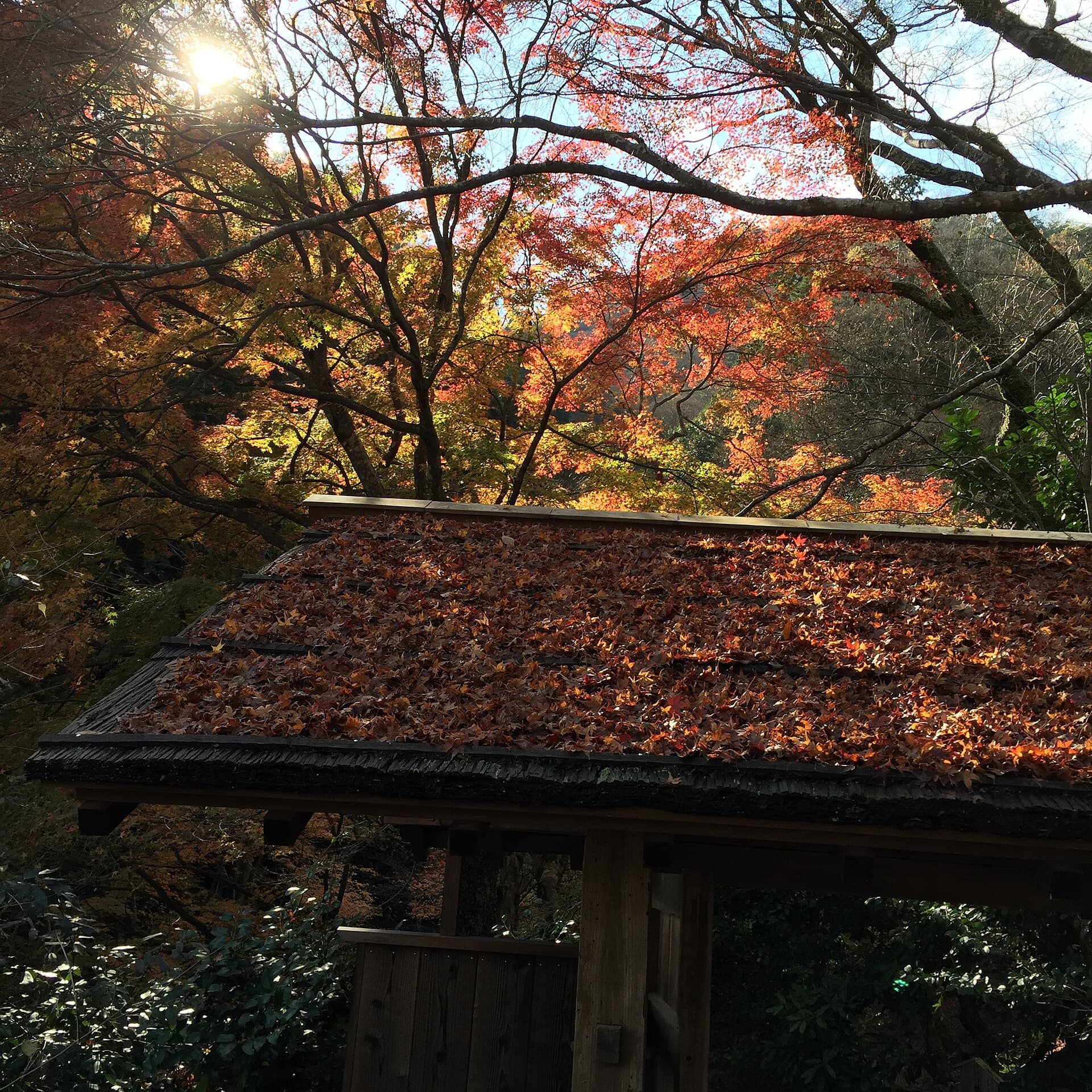 Hoshinoya Kyoto, Kyoto, Japan