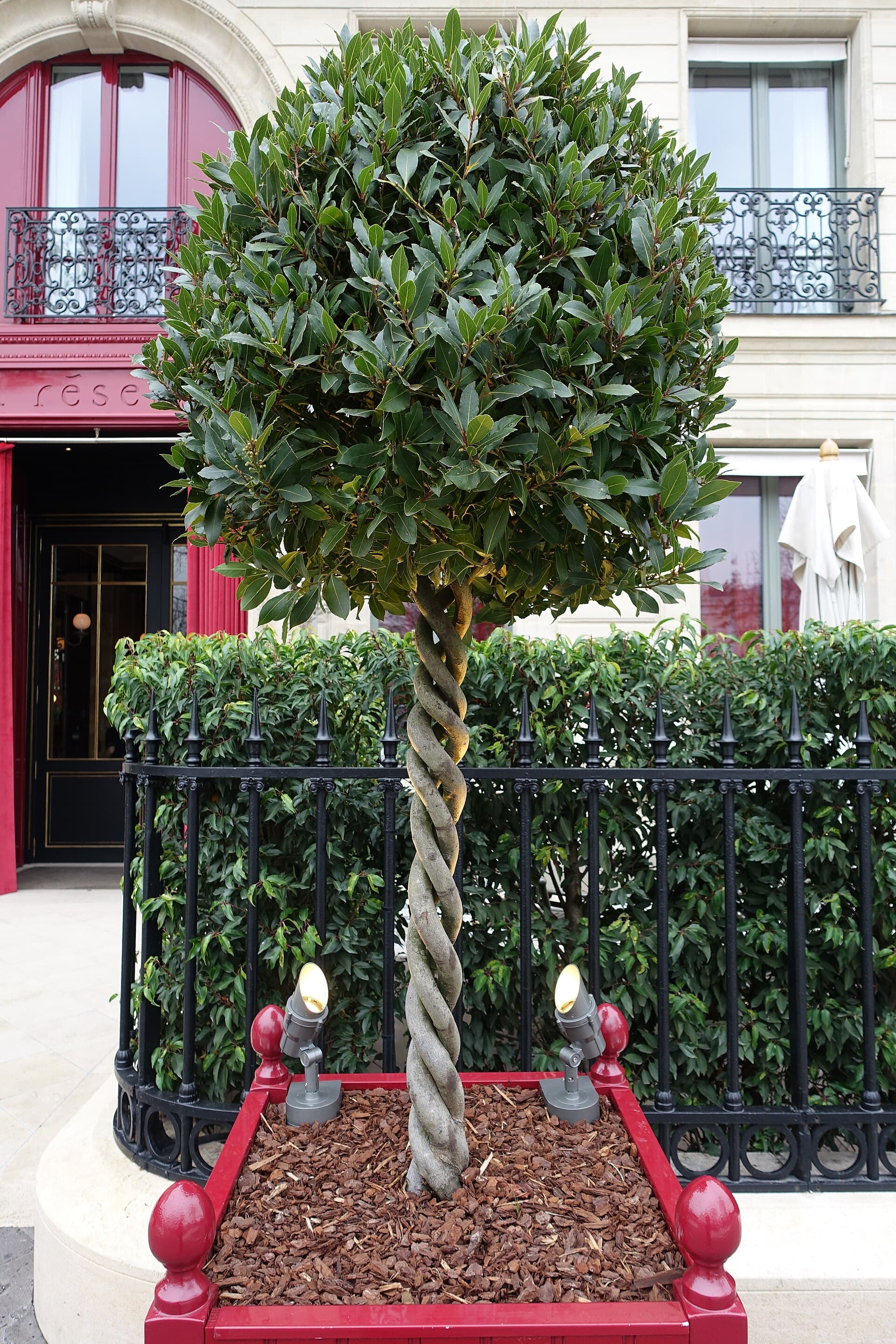 La Réserve Paris Hotel and Spa, Paris, France