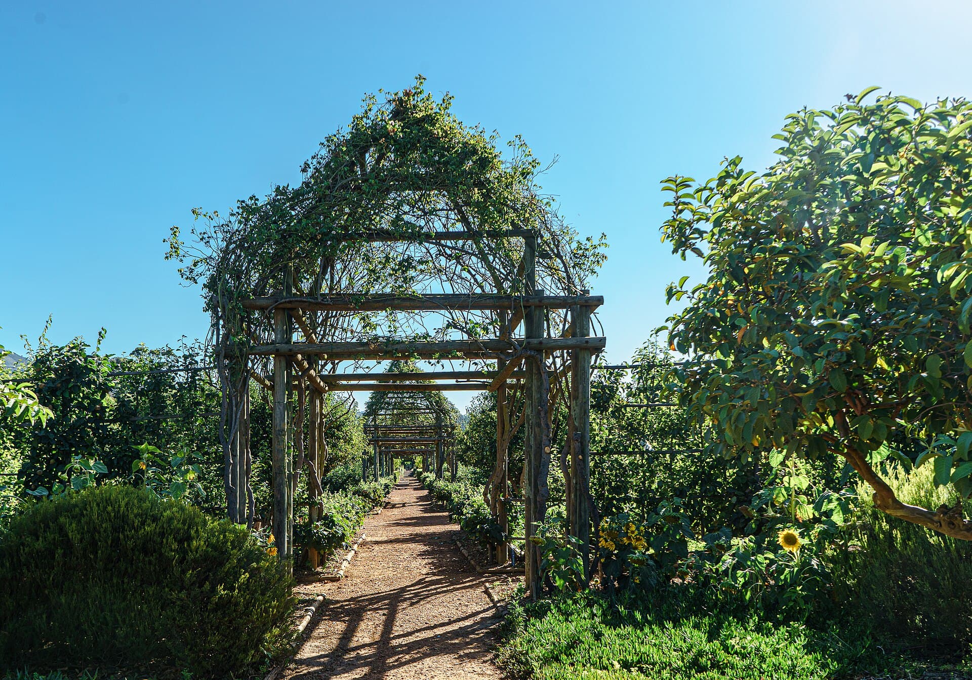 Babylonstoren, Franschhoek, South Africa