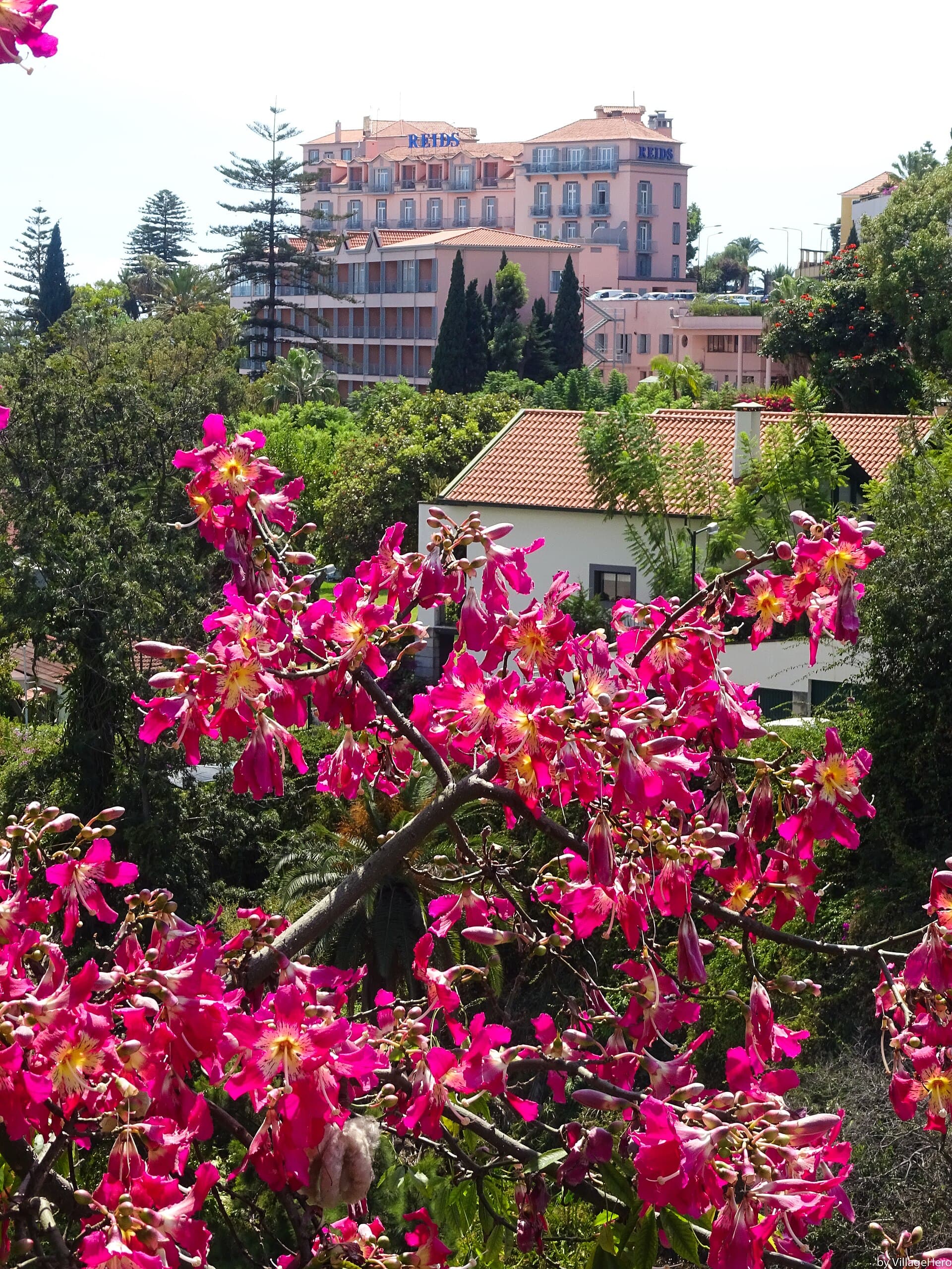 Reid's Palace, A Belmond Hotel, Funchal, Portugal