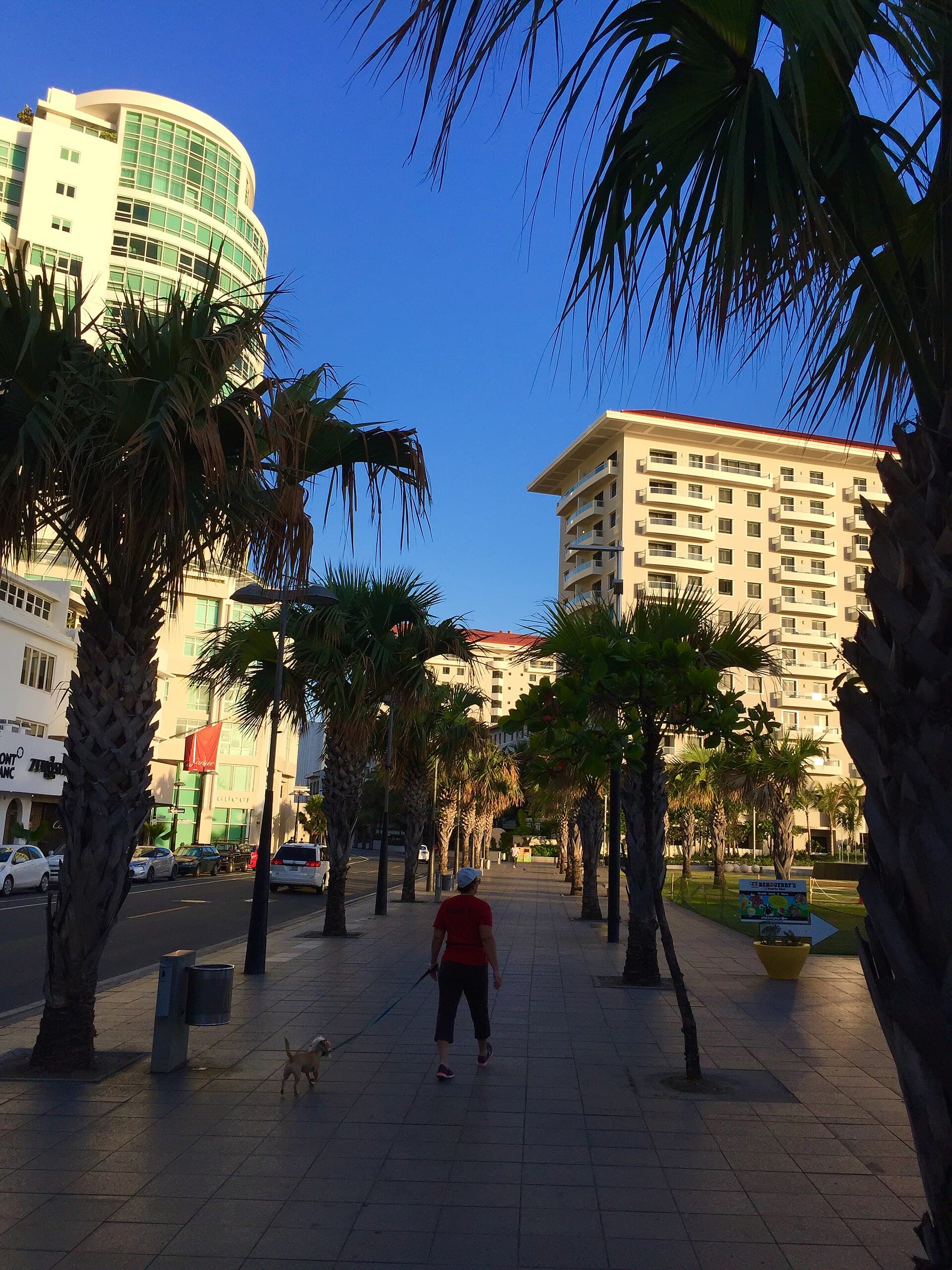 Condado Vanderbilt Hotel, San Juan, United States